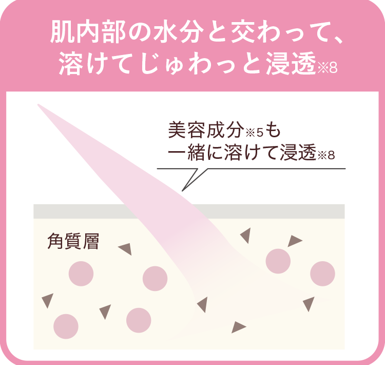 肌内部の水分と交わって、溶けてじゅわっと浸透
