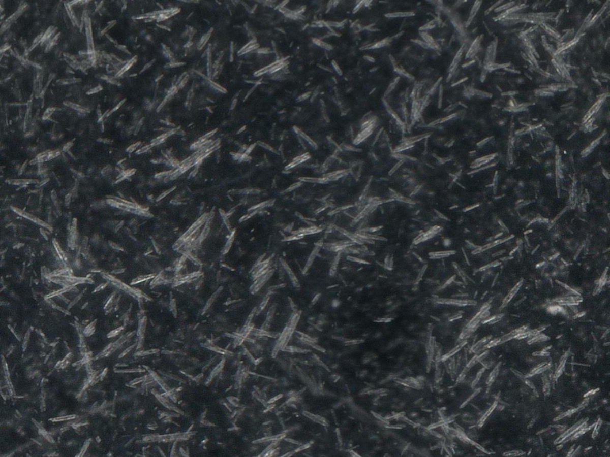 顕微鏡で見たタウリンニードル