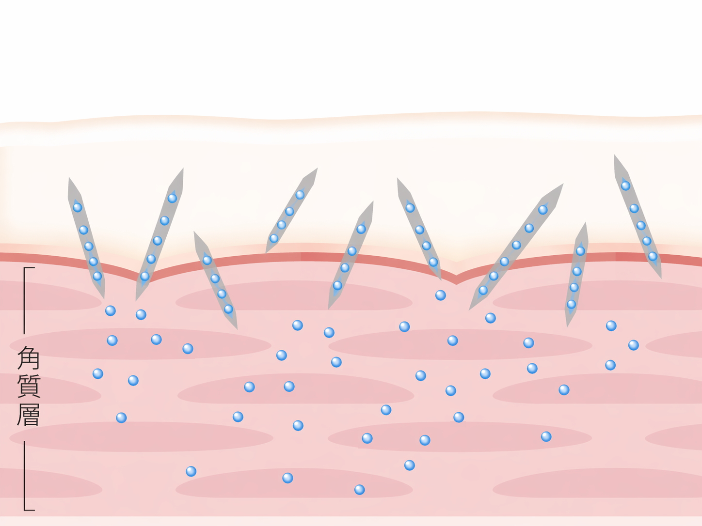 タウリンニードルが塗るだけで肌に入り、溶けて浸透（イメージ図）